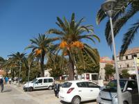 Cavtat &ndash; &copy; Ingrid Langer (Eberhardt TRAVEL)