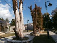 Cetinje &ndash; &copy; Ingrid Langer (Eberhardt TRAVEL)