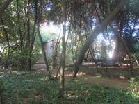 Insel Lopud