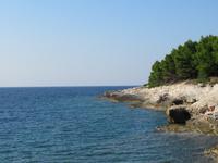 Küste Kap Kamenjak &ndash; &copy; Lena Rautenberg (Eberhardt TRAVEL)