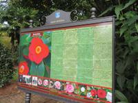 Pflanzen im Park von Opatija &ndash; &copy; Lena Rautenberg (Eberhardt TRAVEL)