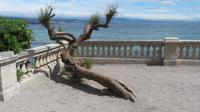 Meerblick mit Baum &ndash; &copy; Maja Petermann (Eberhardt TRAVEL)