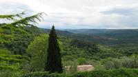 Blick von Grožnjan ins Tal
