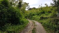 Wanderweg &ndash; &copy; Maja Petermann (Eberhardt TRAVEL)