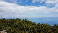 Blick vom Gipfel nach Rijeka &ndash; &copy; Maja Petermann (Eberhardt TRAVEL)
