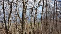 an der Ostseite des Berges Ucka lässt der Frühling noch auf sich warten &ndash; &copy; Maja Petermann (Eberhardt TRAVEL)