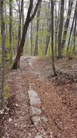 Wanderweg &ndash; &copy; Maja Petermann (Eberhardt TRAVEL)