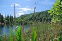Plitwitzer Seen - Nationalpark &ndash; &copy; Chris Hähnel (Eberhardt TRAVEL)