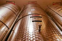 Tag – Ausflug zur Weinlese (7) &ndash; &copy; Alexander Zachow (Eberhardt TRAVEL)