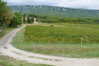 Tag – Ausflug zur Weinlese (34) &ndash; &copy; Alexander Zachow (Eberhardt TRAVEL)