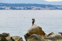 Tag – Wanderung nach Njivice (2) &ndash; &copy; Alexander Zachow (Eberhardt TRAVEL)