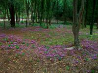 Krka - Nationalpark  &ndash; &copy; Steffen Mucke (Eberhardt TRAVEL)