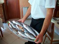 Mittagessen bei Dionis  &ndash; &copy; Steffen Mucke (Eberhardt TRAVEL)