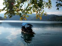 Bled