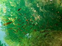 Plitvice &ndash; &copy; Steffen Mucke (Eberhardt TRAVEL)