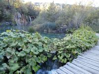 Plitwitzer Seen &ndash; &copy; Ingrid Langer (Eberhardt TRAVEL)