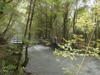 am Bach Curak &ndash; &copy; Ingrid Langer (Eberhardt TRAVEL)
