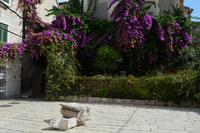 074 Split &ndash; &copy; Konrad Füssel (Eberhardt TRAVEL)