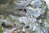 0086 NP Plitvice