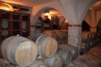 0203 Weingut Matusco &ndash; &copy; Konrad Füssel (Eberhardt TRAVEL)