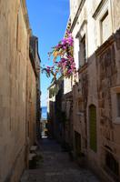 0220 Korcula &ndash; &copy; Konrad Füssel (Eberhardt TRAVEL)