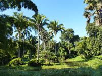 141 Im Botanischen Garten &ndash; &copy; Sandra Schack (Eberhardt TRAVEL)