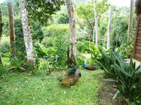 231 Dann ein leckeres Mittagessen in wohliger Umgebung &ndash; &copy; Sandra Schack (Eberhardt TRAVEL)