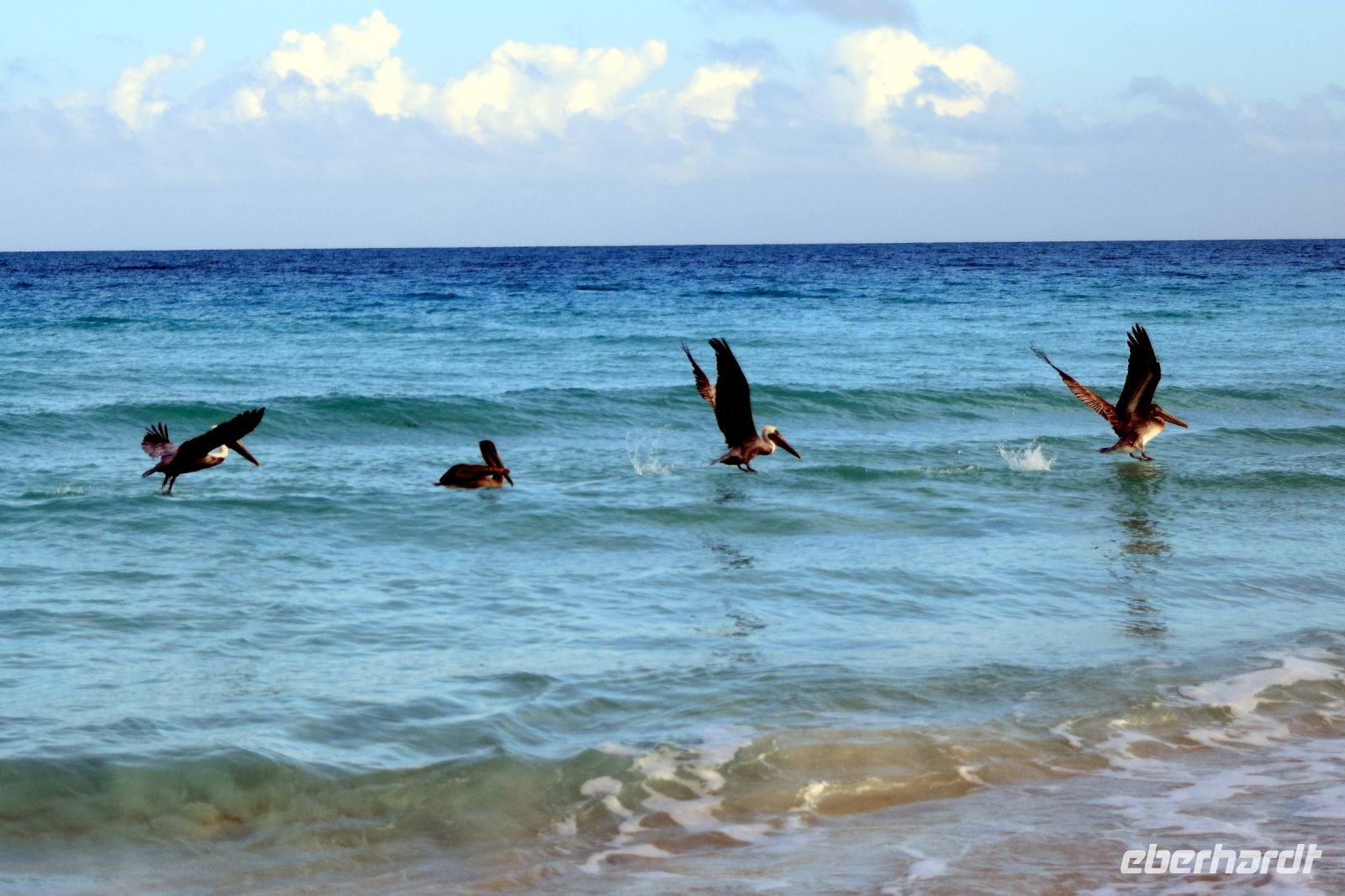 Auf Fischfang &ndash; &copy; Elke Knappe (Eberhardt TRAVEL)