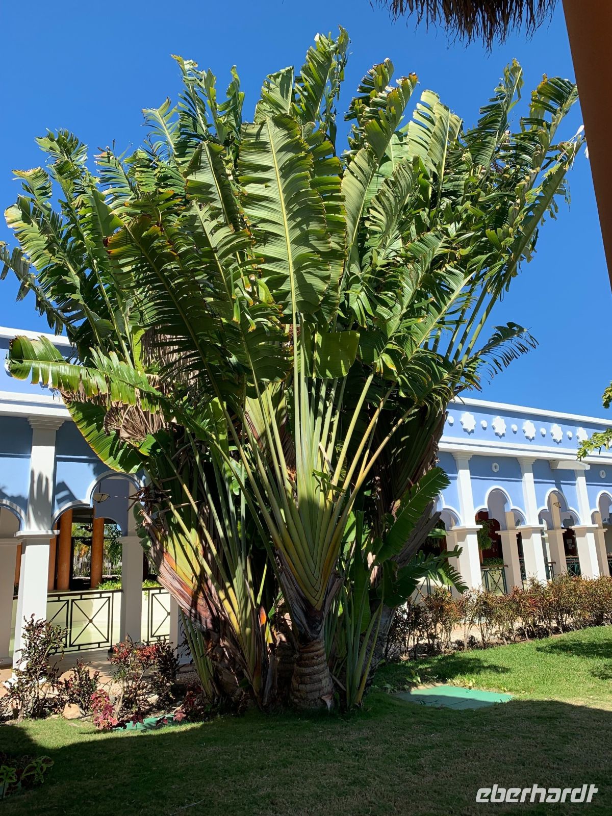 Hotel Iberostar Selection in Varadero &ndash; &copy; Elke Knappe (Eberhardt TRAVEL)