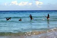 Auf Fischfang &ndash; &copy; Elke Knappe (Eberhardt TRAVEL)