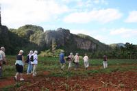 Im Vinales-Tal