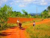 Ilse und der Ochse &ndash; &copy; Madlen Lippe (Eberhardt TRAVEL)