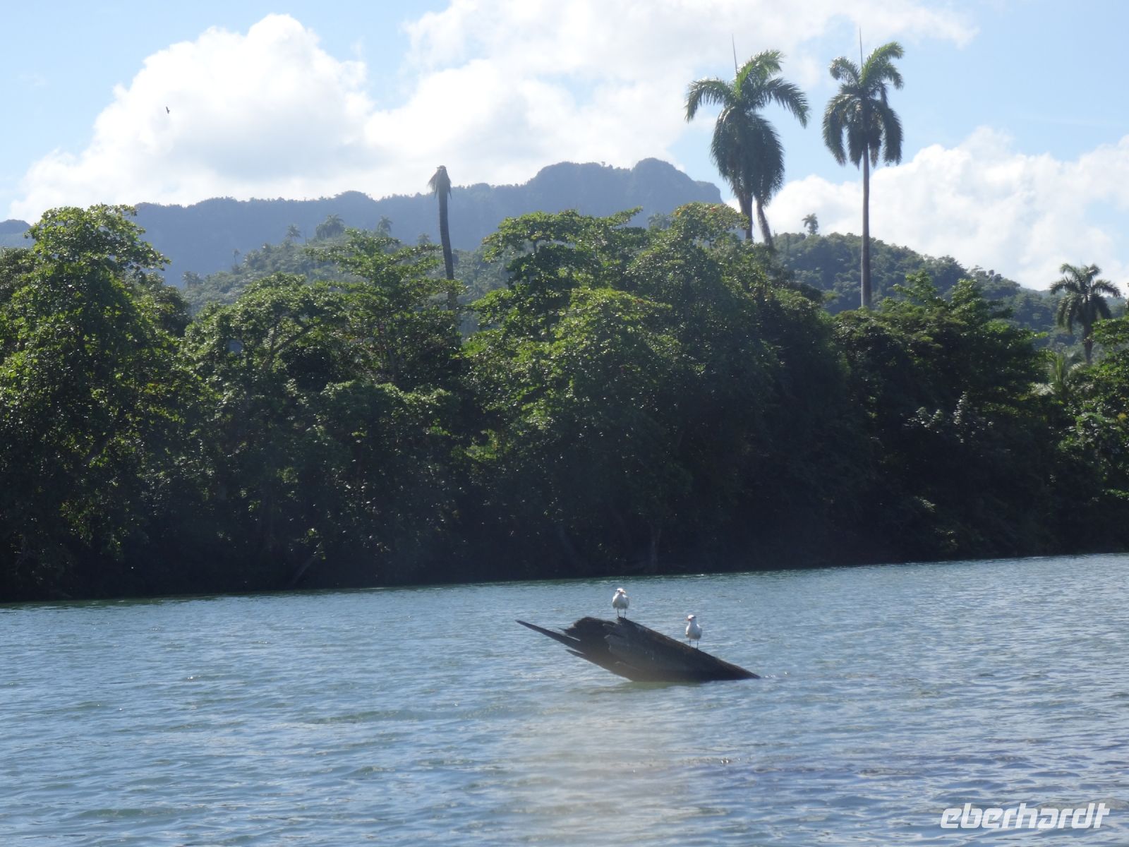 Rio Toa &ndash; &copy; Elke Knappe (Eberhardt TRAVEL)