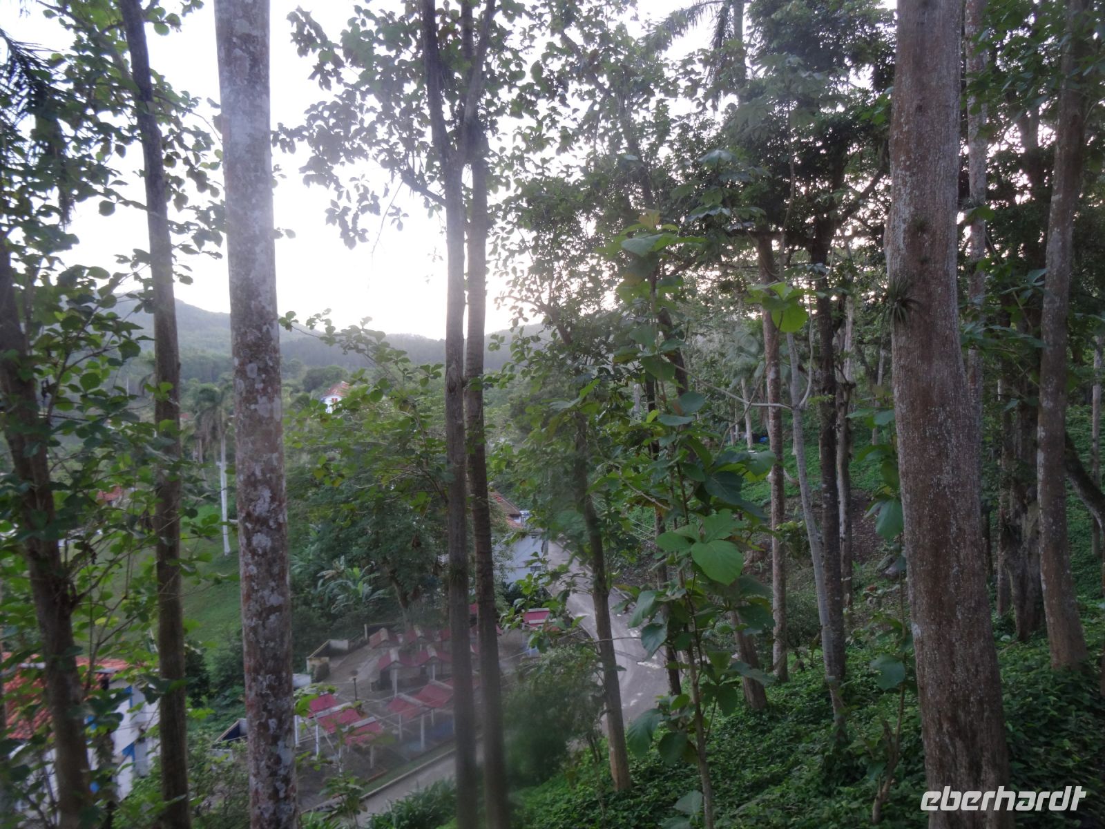 Las Terrazas &ndash; &copy; Elke Knappe (Eberhardt TRAVEL)