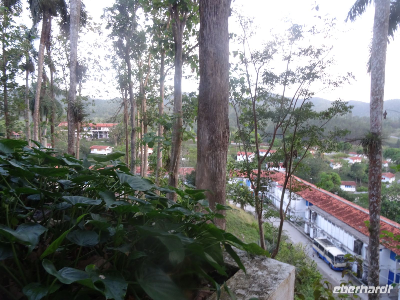 Las Terrazas &ndash; &copy; Elke Knappe (Eberhardt TRAVEL)