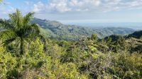 danach kleine Wanderung 