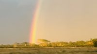 Good Bye Kuba &ndash; &copy; Jacob Spangenberg (Eberhardt TRAVEL)