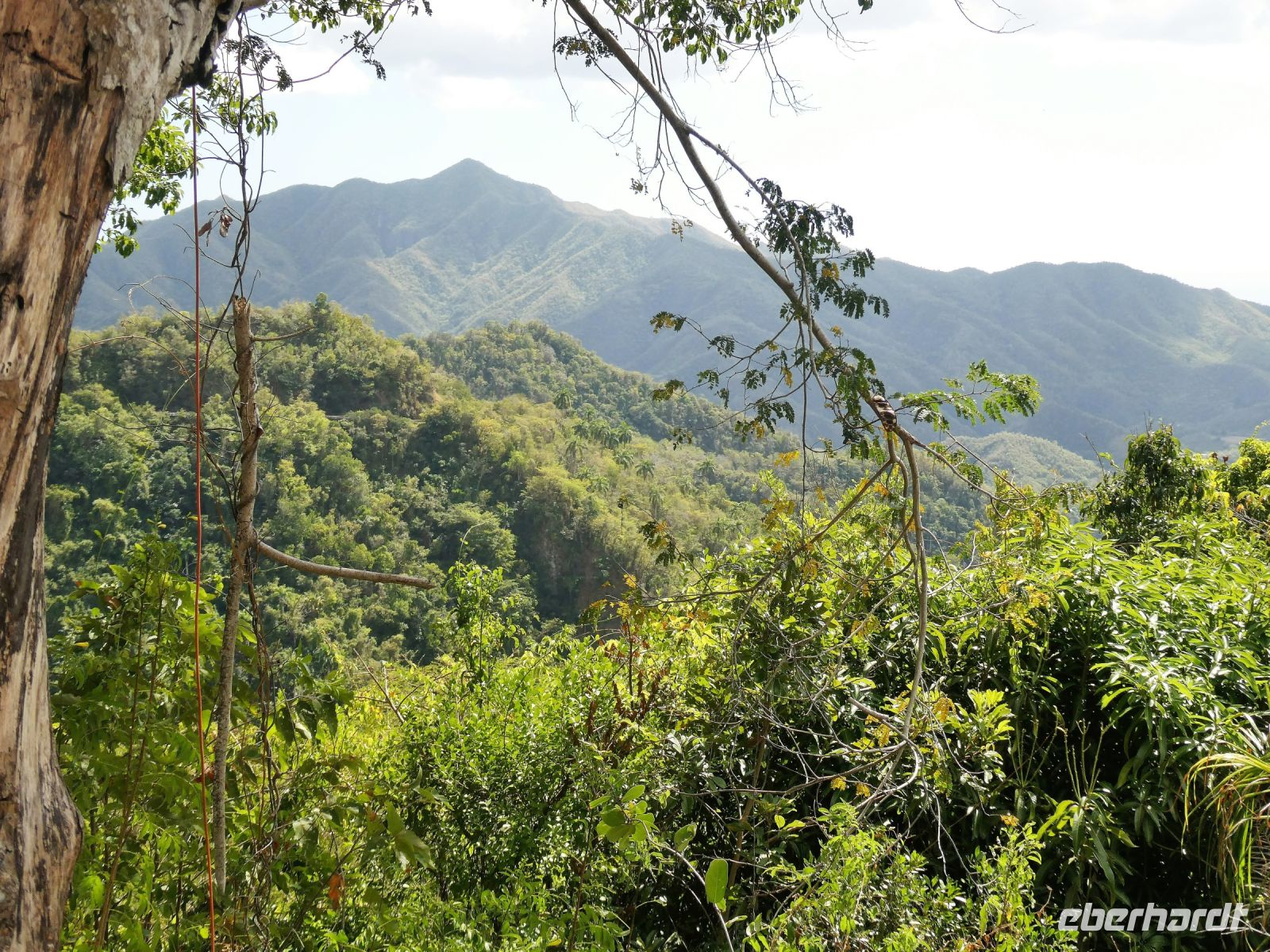 in der Sierra del Purial &ndash; &copy; Gina Egenolf (Eberhardt TRAVEL)