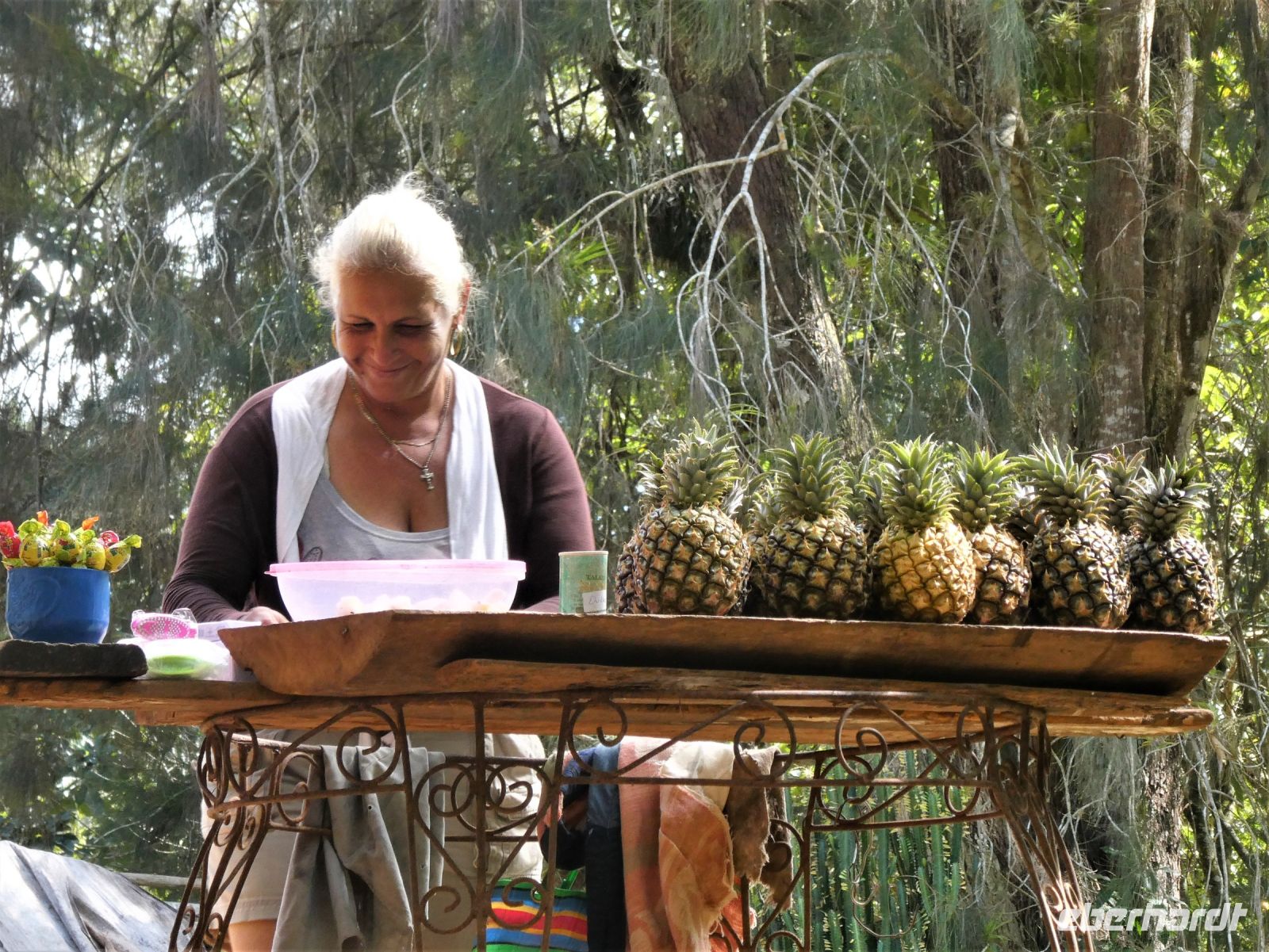 frische Ananas &ndash; &copy; Gina Egenolf (Eberhardt TRAVEL)