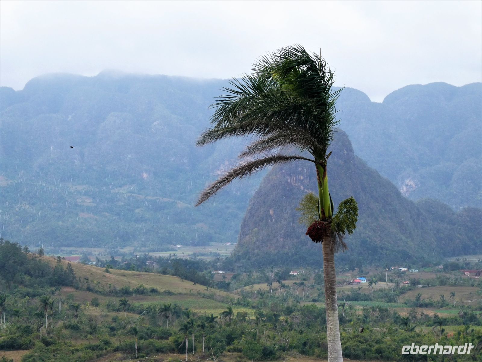 im Tal von Vinales &ndash; &copy; Gina Egenolf (Eberhardt TRAVEL)