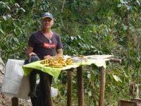 Bananenverkauf &ndash; &copy; Gina Egenolf (Eberhardt TRAVEL)