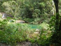am Dschungelpool &ndash; &copy; Gina Egenolf (Eberhardt TRAVEL)