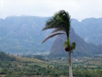 im Tal von Vinales &ndash; &copy; Gina Egenolf (Eberhardt TRAVEL)
