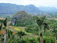 die Mojotes &ndash; &copy; Gina Egenolf (Eberhardt TRAVEL)