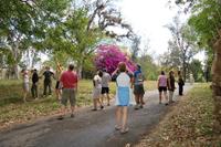 Cienfuegos Botanischer Garten &ndash; &copy; Gunter Looss (Eberhardt TRAVEL)