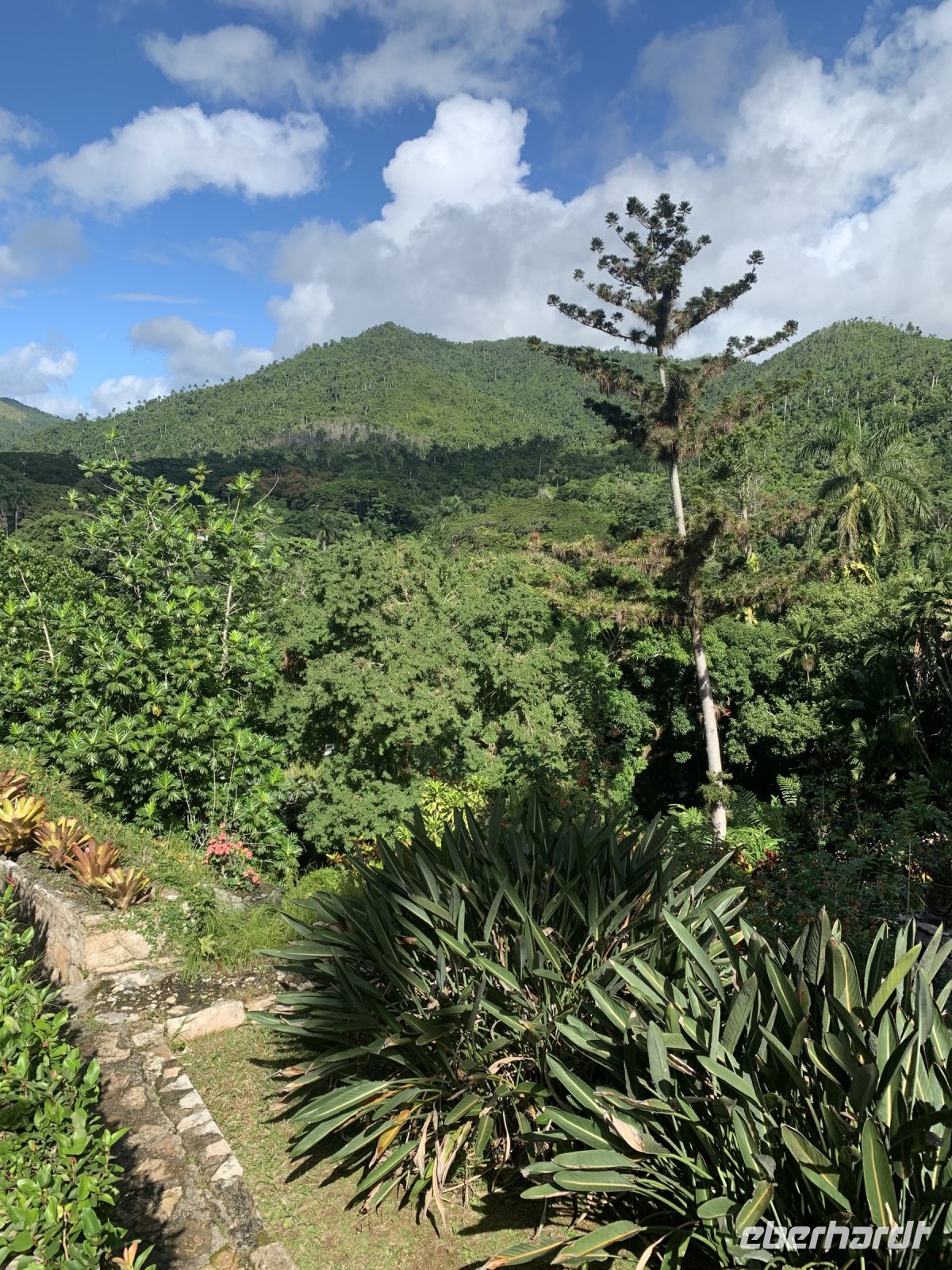 In Soroa &ndash; &copy; Elke Knappe (Eberhardt TRAVEL)