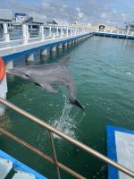Im Delfinarium &ndash; &copy; Elke Knappe (Eberhardt TRAVEL)