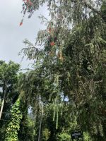 Der Kampf ums Licht &ndash; &copy; Elke Knappe (Eberhardt TRAVEL)