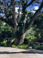 In Soroa &ndash; &copy; Elke Knappe (Eberhardt TRAVEL)