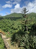 In Soroa &ndash; &copy; Elke Knappe (Eberhardt TRAVEL)